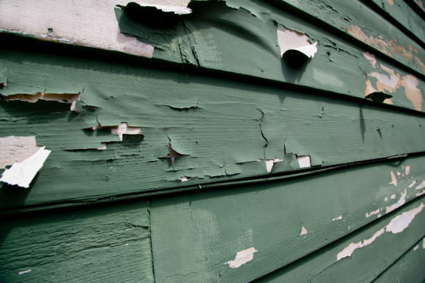 Best Insulated Siding Installation  in Rpinteria, CA